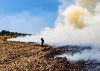 Cuerpo de Bomberos atiende emergencia de incendio en Usulután
