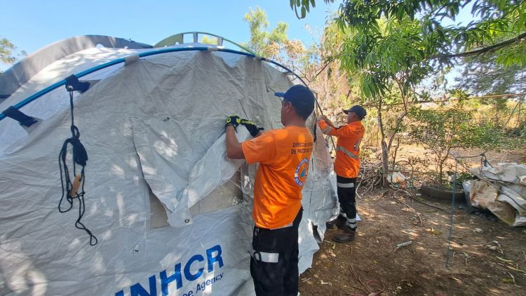 FOTO/ Cristian Arévalo/ Diario El Salvador