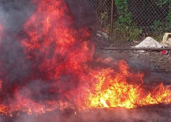 Destruyen droga incautada en diferentes operativos y valorada en más de $25,000