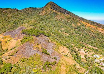 Zona afectada por incendio en volcán de San Salvador será reforestada