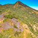 Zona afectada por incendio en volcán de San Salvador será reforestada