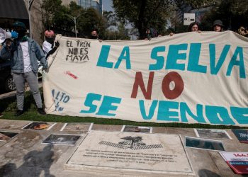 Juez ordena suspender tala de árboles por Tren Maya en México