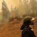 Incendios forestales en Chile no ceden y dejan ya 22 muertos