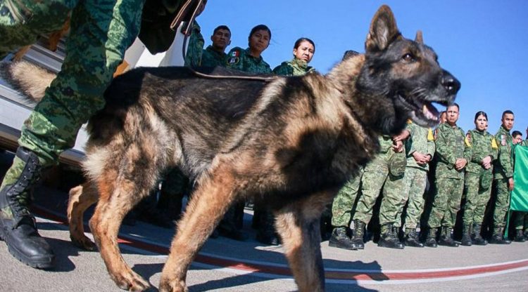 Foto / AFP
