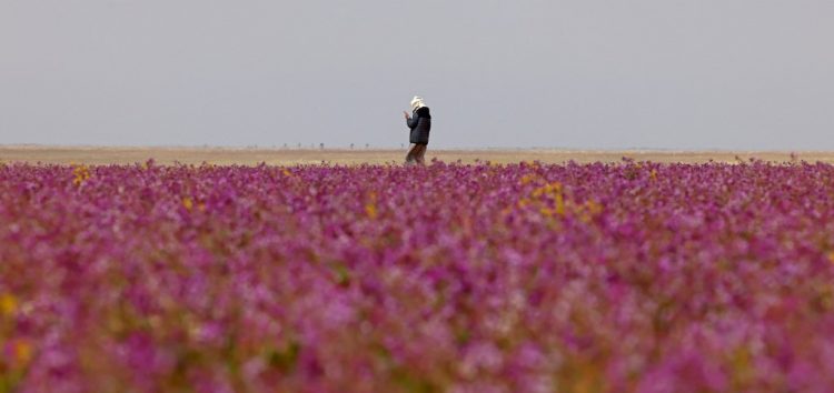 Foto: AFP