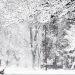 Clima invernal causa caos en Estados Unidos