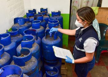 El Gobierno de El Salvador protege la economía familiar con subsidios y agromercados