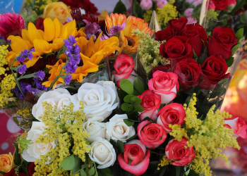Los mensajes que envían los tipos de flores y sus colores