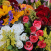 Los mensajes que envían los tipos de flores y sus colores