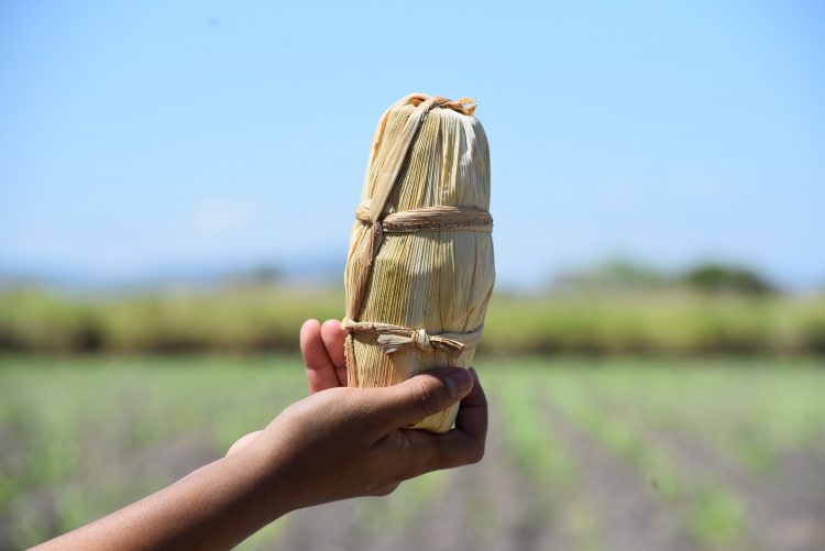 Acopanela indicó que el año pasado exportaron cerca de $400,000 en dulces de atado. Foto / Diario El Salvador.