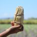 El Salvador endulzará a Canadá e Italia con productos derivados de la panela