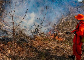 Cuerpo de Bomberos atiende incendio en Chalatenango