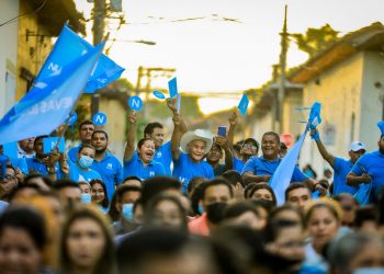 Partidos políticos calientan motores para las elecciones internas