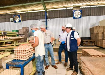 Gobierno de El Salvador verifica abastecimiento de huevos en el mercado