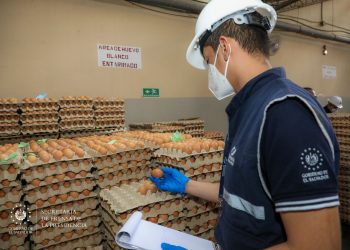 Defensoría mantendrá vigilancia por plan preventivo contra gripe aviar
