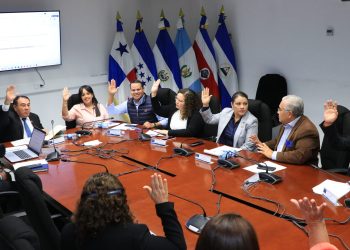 Asamblea Legislativa declarará el 6 de septiembre de cada año como Día Nacional del Añil