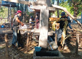 Eloy mantiene viva la tradición de la molienda en Anamorós