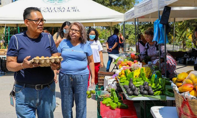 De acuerdo con el MAG, los productos puestos a la venta en los Agromercados llegan directamente desde los cultivo