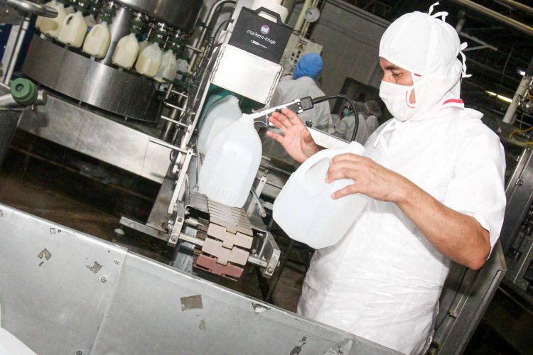 Las plantas, distribuidas en todo el país tienen capacidad de procesar 150,000 litros de leche diarios. / Foto: Diario El Salvador.