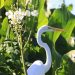 Casi 300 especies de aves se refugian en la laguna El Jocotal