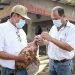 El Ministerio de Agricultura y Ganadería verifica aves de corral por influenza aviar en Ahuachapán
