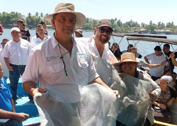 Entregan semillas para mejorar la producción de curiles en La Paz
