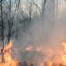 Un incendio incontrolable devora unas 2,000 hectáreas de bosques en Cuba