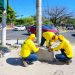 Obras Públicas ya instaló 33 armaduras para semáforos inteligentes en El Salvador