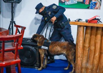 El Conapina rescata a 11 menores que estaban en bares en Santa Tecla