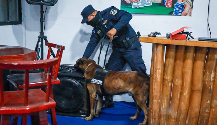 Menores de 10 años fueron encontrados en estos espacios.