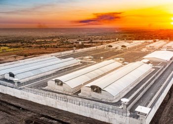Peligrosidad de pandilleros no cambia conductas