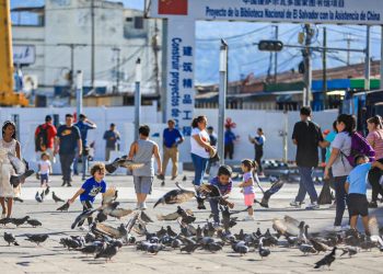 Régimen de excepción suma 23 jornadas sin homicidios en este año