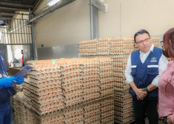 Defensoría inspecciona empresa Avícola Salvadoreña como acción preventiva a la gripe aviar
