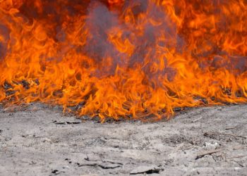 Destruyen droga incautada en diversos operativos y valorada en más de $226,000