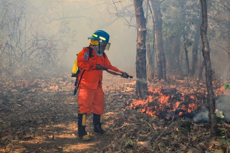 Foto: Sofía Mazariego/Diario El Salvador