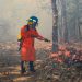 Bomberos extinguen incendios forestales en carretera al Puerto de La Libertad y Ciudad Delgado