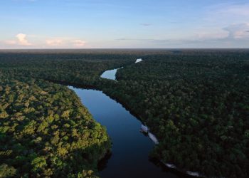 Amazonía brasileña registra deforestación récord en febrero