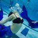 En EE. UU. «todos pueden ser sirenas»