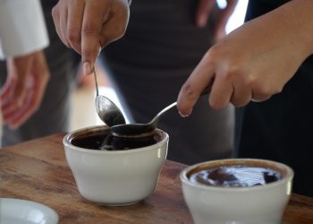 Los pacamaras y los borbones ganaron la Golden Cup Fairtrade