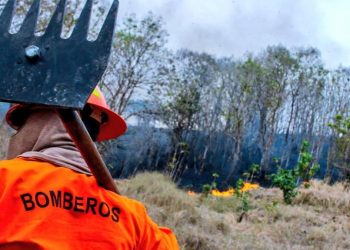 Trabajo de Bomberos redujo en 86 % las hectáreas afectadas por incendios forestales