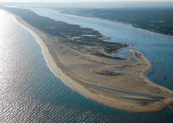 La investigación médica busca en los fondos marinos las moléculas del futuro