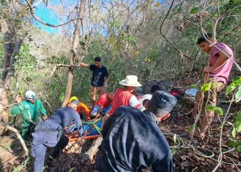 Policía apoya rescate de jóvenes que cayeron a precipicio tras ser atacados por abejas en Suchitoto