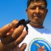Aumenta la liberación de tortugas marinas en peligro de extinción en la Barra de Santiago