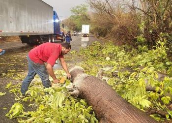 Primeras lluvias dejan daños en la zona oriental
