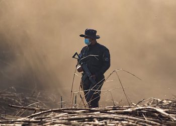 El Control Territorial permite que productores cultiven sin el temor de ser asediados por pandillas