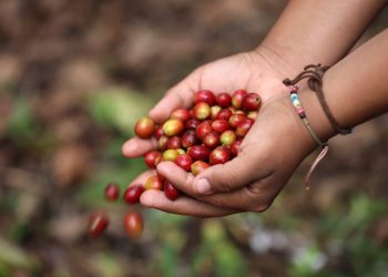 Empresa italiana explora aumentar negocios en El Salvador