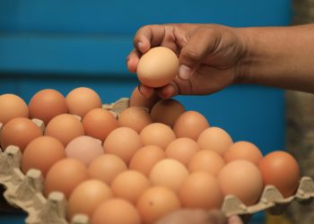 Gobierno de El Salvador llama a denunciar acuerdos entre competidores en el mercado de huevos