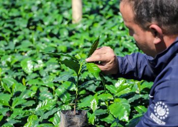La exoneración del IVA en compra de insumos beneficiará al agro nacional