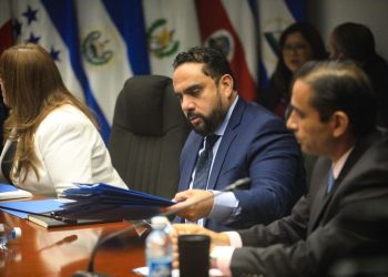 Entrega de fondos a ONG pudo conllevar hasta cinco delitos
