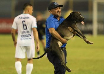 Gerente de Edessa: «El perro que invadió la cancha andaba perdido y su amo lo recuperó cuando vio las imágenes en la televisión»
